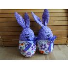 Nyuszitojás & tojásnyuszi